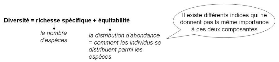 Calcul de diversité