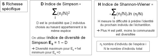 Calcul des indices de biodiversité