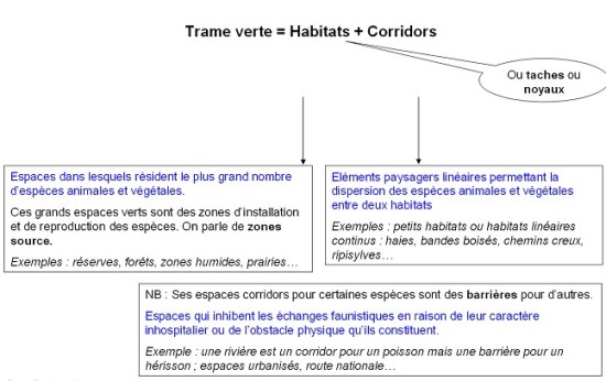 La notion de trame verte
