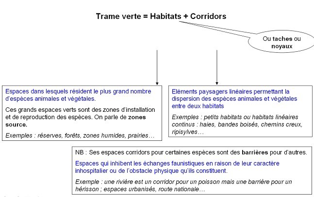 La notion de trame verte